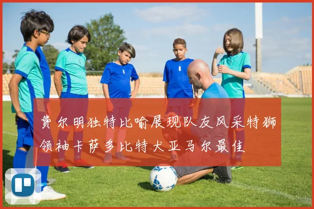 费尔明独特比喻展现队友风采特狮领袖卡萨多比特犬亚马尔最佳
