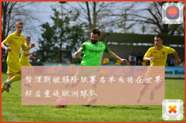 努涅斯被移除联赛名单或将在世界杯后重返欧洲球队
