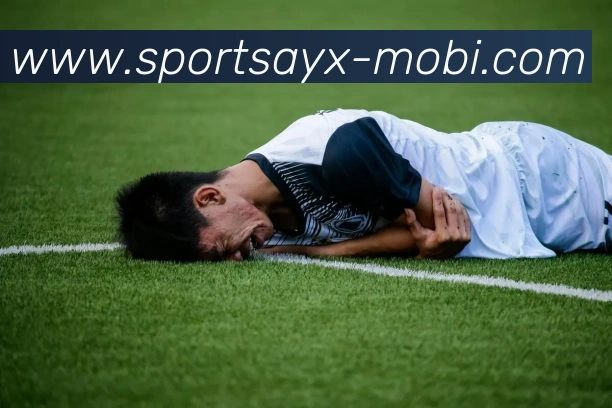 爱游戏平台生态图